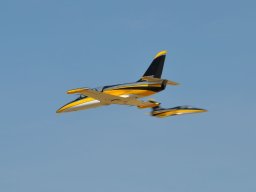 Flugtag 2022